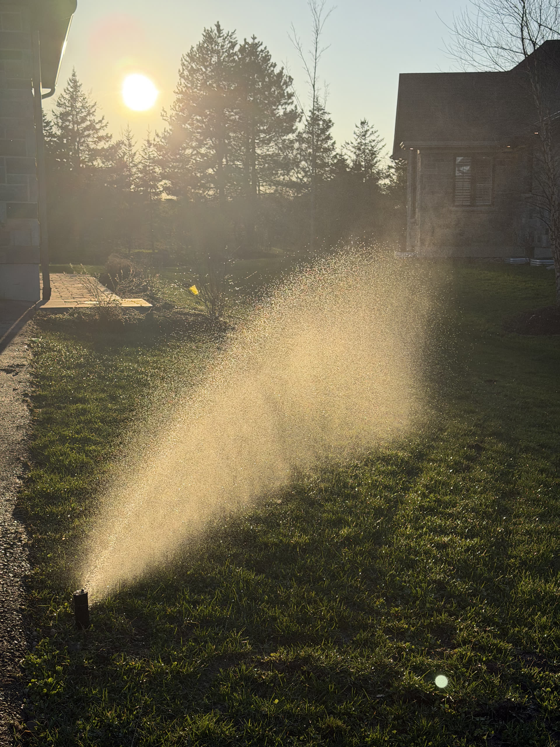 Completed WetRoot irrigation install overview.