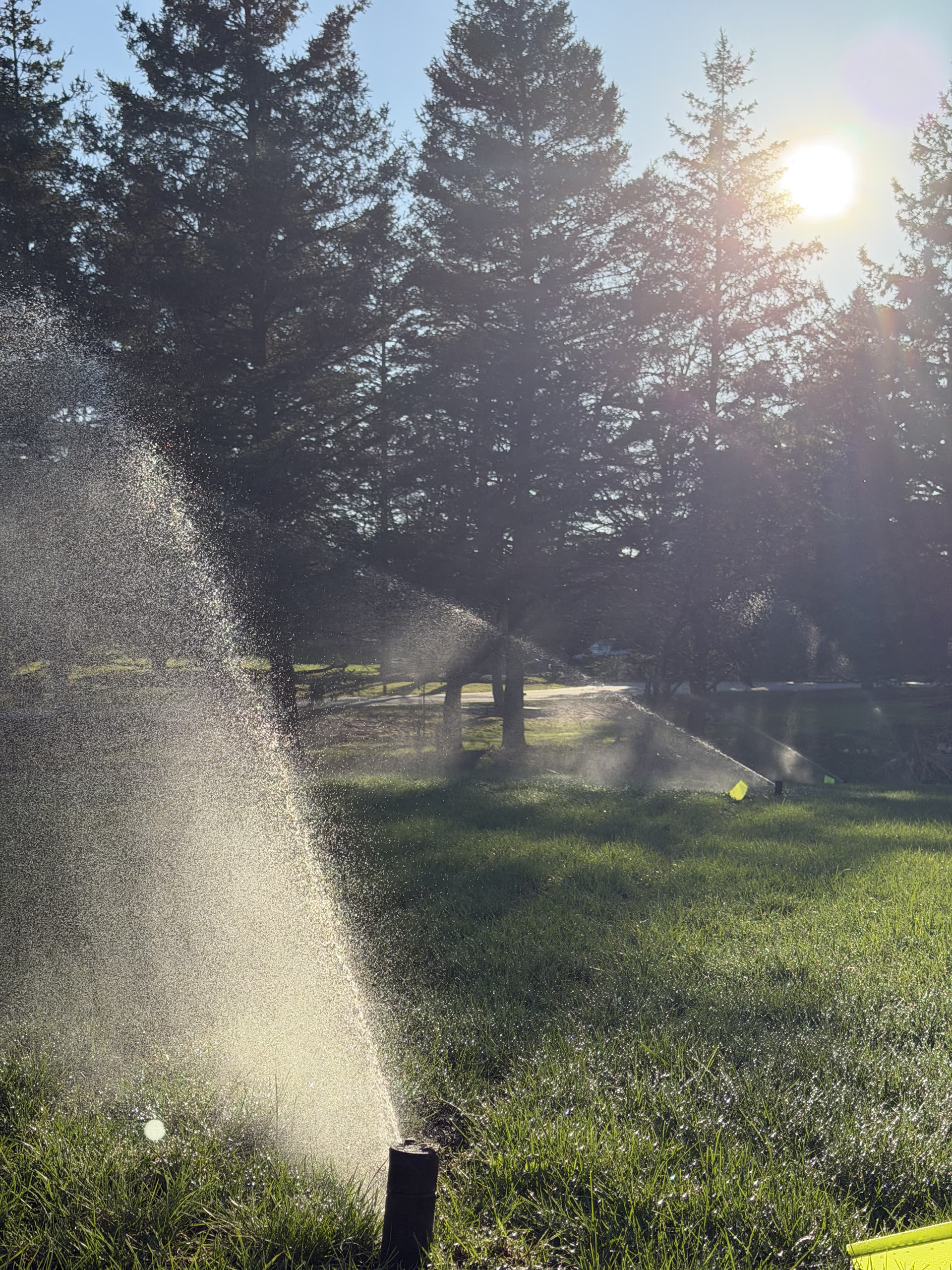 Recent WetRoot irrigation install.
